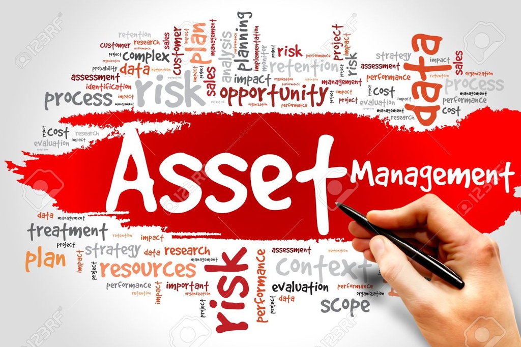 Asset Management (Odoo Co Platform)